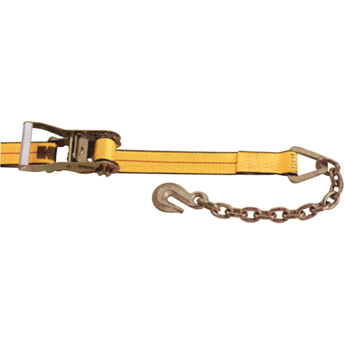 Tendeurs d'arrimage &agrave; cliquet, Crochet &agrave; chaîne, 2" , 30' , Charge d'utilisation max. 3335 lb (1513 kg) Superchem Industries