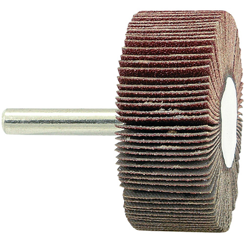 Disque &agrave; lamelles mont&eacute; sur mandrin, Grain 80, 2" x 3/4" x 1/4" Superchem Industries