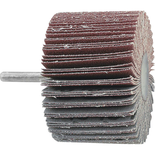 Disque &agrave; lamelles mont&eacute;, Grain 60, 3" x 1" x 1/4" Superchem Industries