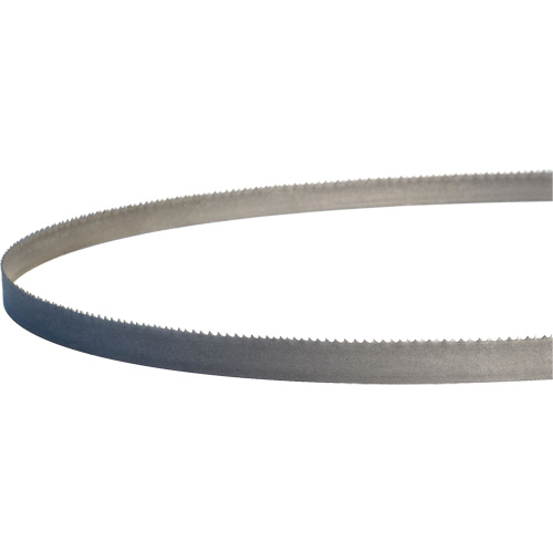 Lames de scie &agrave; ruban portatives Master-Band, Bim&eacute;tal, 18 Dents par pouce, 44-7/8" lo x 1/2" la Superchem Industries