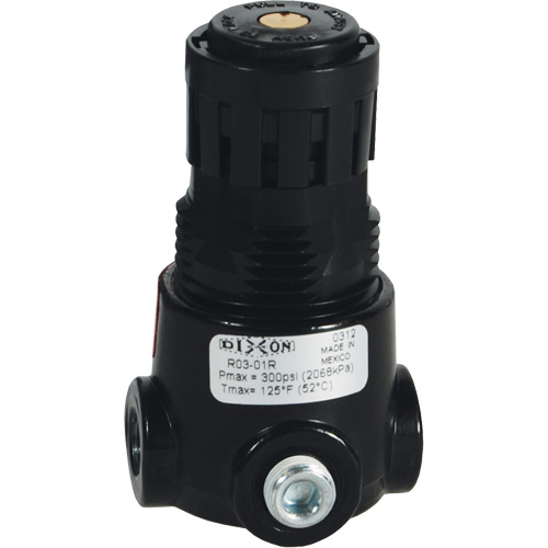 Wilkerson Miniature Regulator R03, 1/4" NPT, 300 psi Max. PSI, Standard Superchem Industries