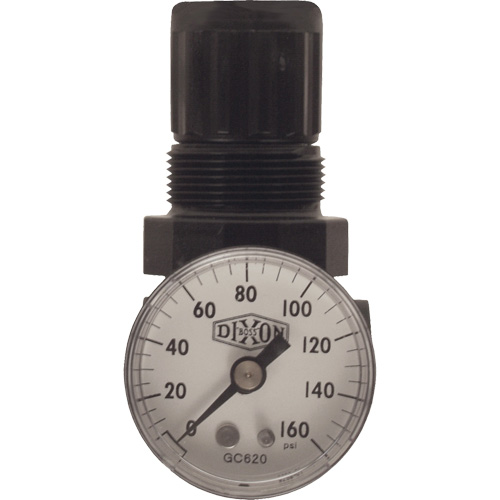 R&eacute;gulateur miniature de s&eacute;rie 1, 1/8" NPT, PSI max. de 100 psi, Standard Superchem Industries