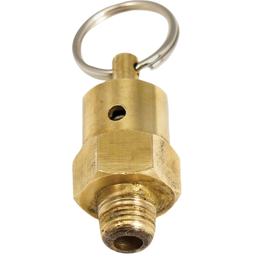 Viton&reg; Pressure Relief Valve Superchem Industries