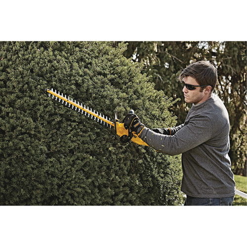 Taille-haie MAX*, 22", 20 V, &agrave; pile Superchem Industries