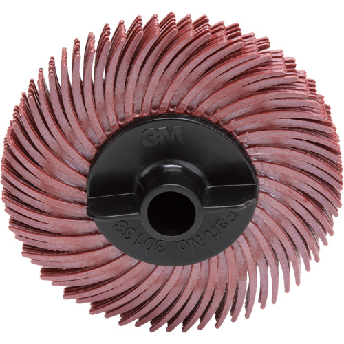 Scotch-Brite Radial Bristle Disc, RB-ZB, Ceramic, 220 Grit, 2" Dia. Superchem Industries
