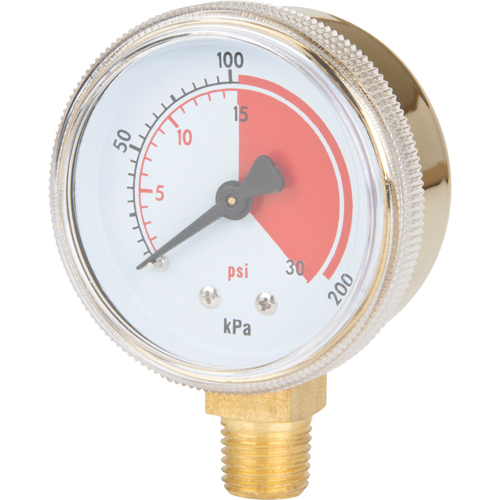 Brass Gauge, 2-1/2" , 30 psi, Bottom Mount, Analogue Superchem Industries