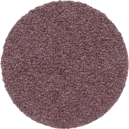 Meule en toile PSA 348D, 20" dia., Grain 60, Oxyde d'aluminium Superchem Industries