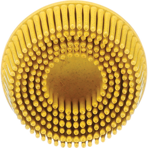 Scotch-Brite Roloc Bristle Disc, Ceramic, Medium Grit, 2" Dia. Superchem Industries