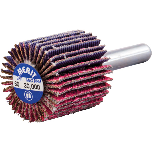 Mini-meule &agrave; lamelles mont&eacute;e sur tige, C&eacute;ramique d'alumine, Grain 60, 1" x 1" x 1/4" Superchem Industries