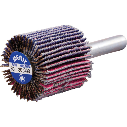 Mini-meule &agrave; lamelles mont&eacute;e sur tige, C&eacute;ramique d'alumine, Grain 80, 1" x 1" x 1/4" Superchem Industries