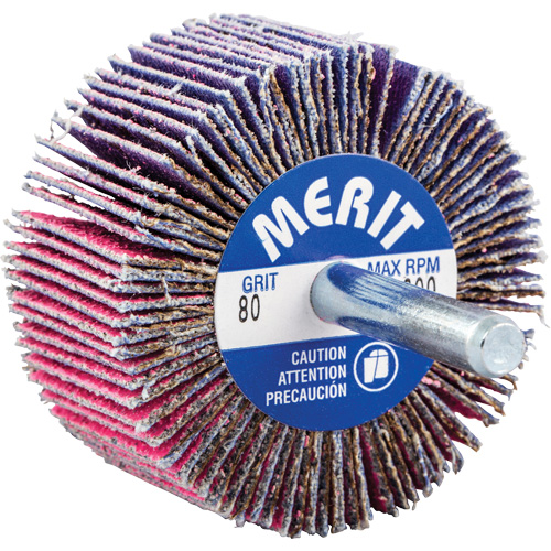 Mini-meule &agrave; lamelles mont&eacute;e sur tige, C&eacute;ramique d'alumine, Grain 80, 2" x 1" x 1/4" Superchem Industries