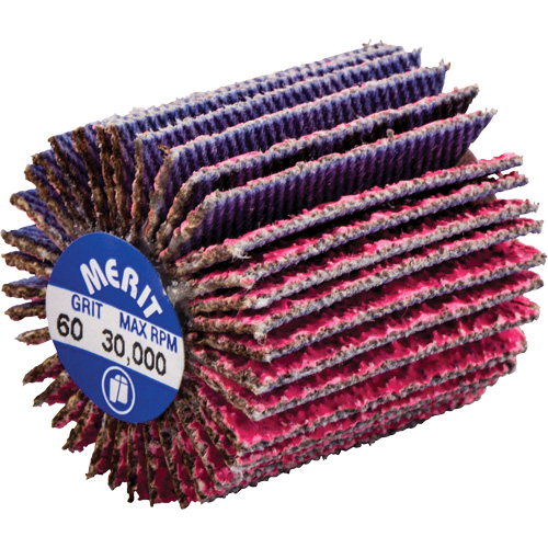 Mini-meule &agrave; lamelles filet&eacute;es, C&eacute;ramique d'alumine, Grain 60, 1" x 1" x 1/4"-20 Superchem Industries