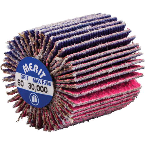 Mini-meule &agrave; lamelles filet&eacute;es, C&eacute;ramique d'alumine, Grain 80, 1" x 1" x 1/4"-20 Superchem Industries