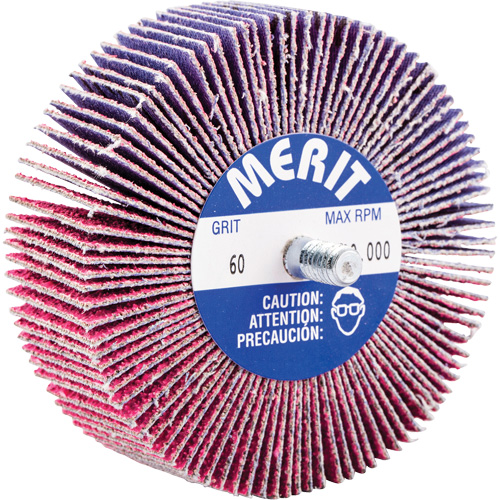 Threaded Mini Flap Wheel, Ceramic Alumina, 60 Grit, 3" x 1" x 1/4"-20 Superchem Industries