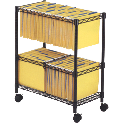 File Carts- 2-tier Rolling File Cart Superchem Industries