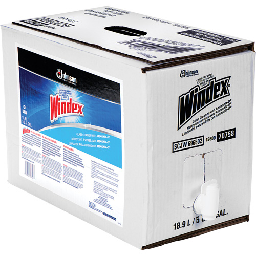 Nettoyant pour vitres Windex avec Ammoniac-D, 5 gal., Sac Superchem Industries