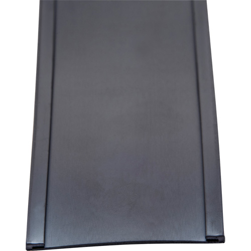 Card Holder, Magnetic, 600" L x 2" W Superchem Industries