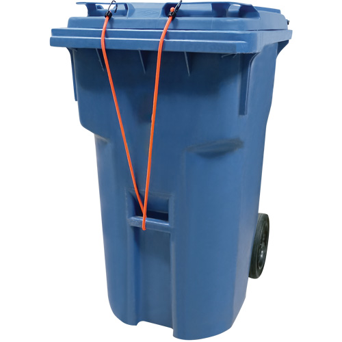 Bungee Cord Tie Downs, 12" Superchem Industries