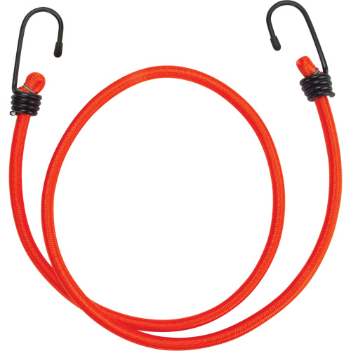 Sangles d'arrimage &eacute;lastiques, 36" Superchem Industries