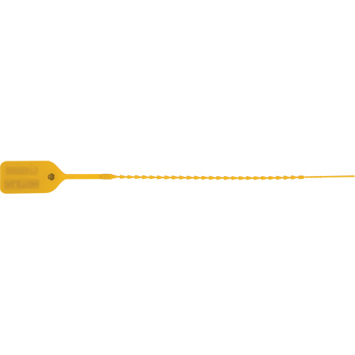 Standard-Duty Security Seal, 9", Plastic, Pull-Through Superchem Industries