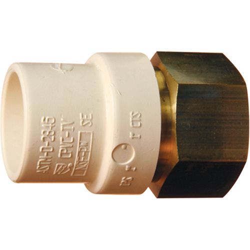 Adaptateur de tuyau filet&eacute;, Noeud x FPT, 1" dia., Laiton/PVC-C Superchem Industries