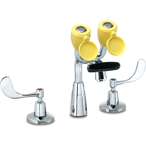 Faucet & Eyewash Station, Sink Mount Installation Superchem Industries