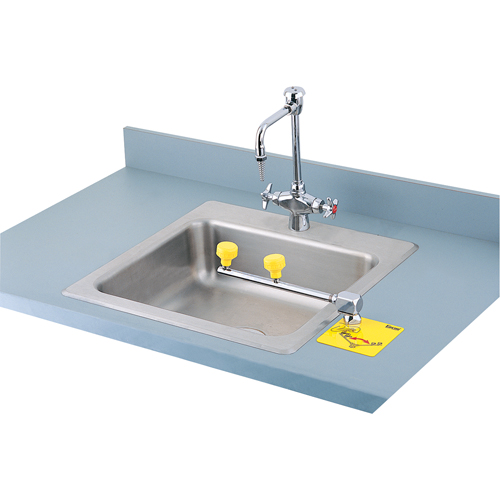 Swing-Away Eyewash Station, Counter-Mount Installation Superchem Industries