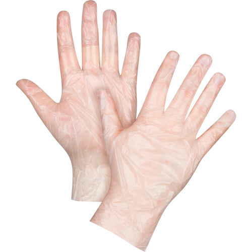 Economy Disposable Gloves, Large, Polyethylene, 1-mil, Powder-Free, Clear Superchem Industries