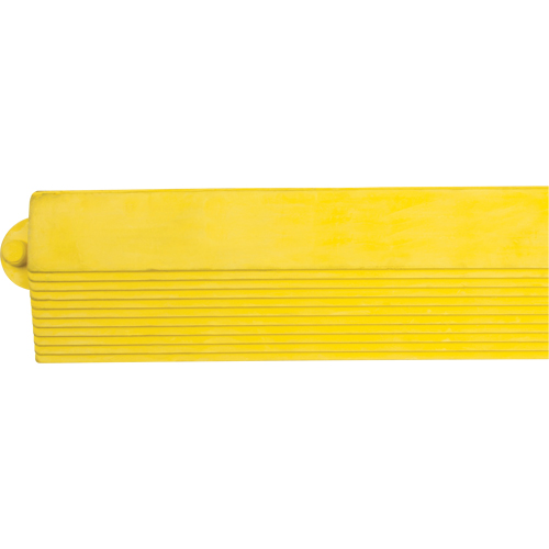 Border Ramp for Matting Superchem Industries