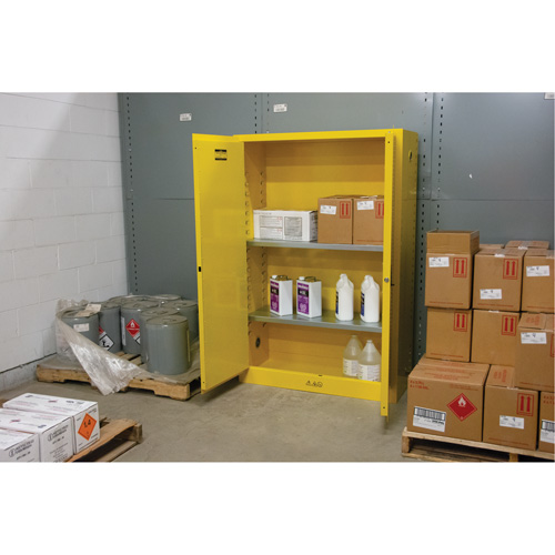 Armoire pour produits inflammables, 45 gal., 2 Porte(s), 43" La x 65" h x 18" p Superchem Industries