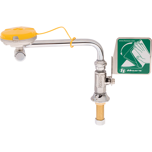 Axion&reg; Eye/Face Wash Station, Sink Mount Installation Superchem Industries