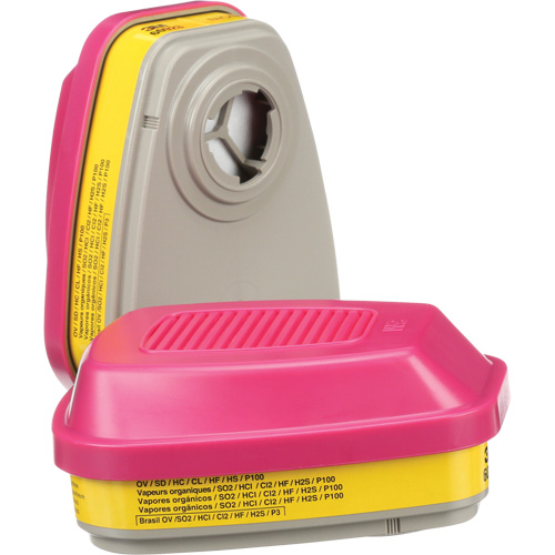 6000 Series Respirator Cartridges, Gas/Vapour Cartridge, Organic Vapour/Acid Gas/P100 Superchem Industries