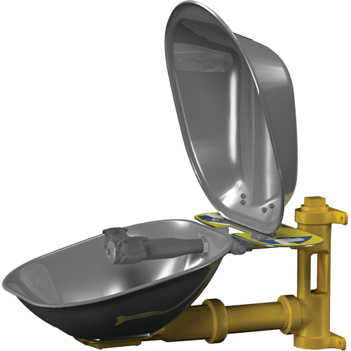 Poste de douche oculaire Halo, Installation Montage mural, Bol Acier inoxydable Superchem Industries