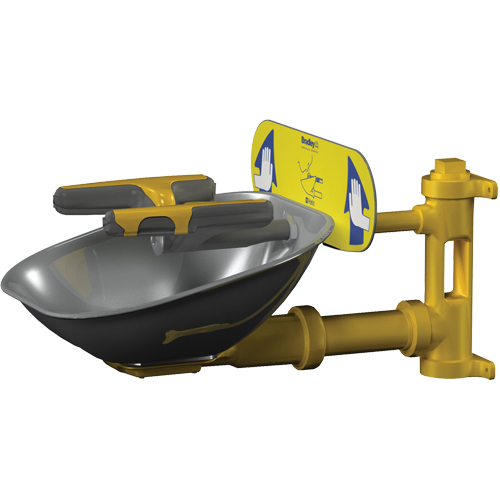 Postes de douche oculaire/faciale Halo, Installation Montage mural, Bol Acier inoxydable Superchem Industries