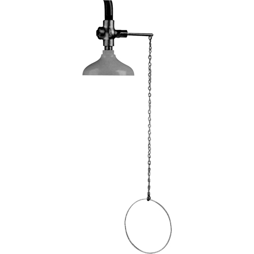 Lifesaver&reg; Emergency Overhead Showers, Ceiling-Mount Superchem Industries