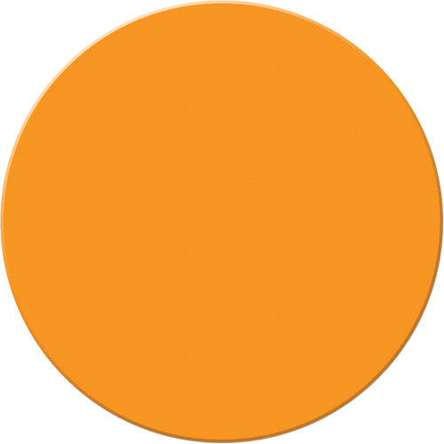 Marqueurs all&eacute;g&eacute;e/5S Armor Stripe, Cercle, 6" lo x 6" la, Orange, Plastique Superchem Industries