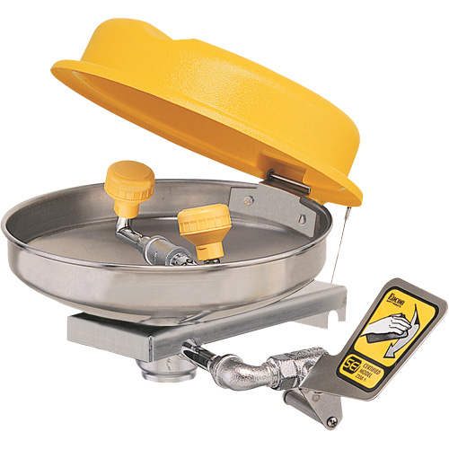 Poste de douche oculaire, Installation Montage mural, Bol Acier inoxydable Superchem Industries