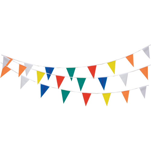 Pennant String, 60' L, Multicolour Superchem Industries