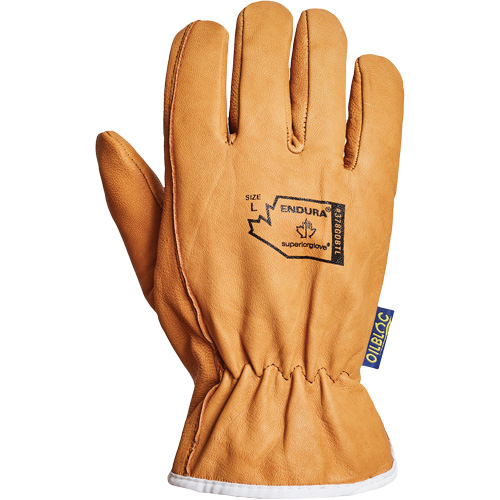 Gants de conducteur Endura, Petit, Paume en Cuir fleur de ch&egrave;vre, Thinsulate Superchem Industries