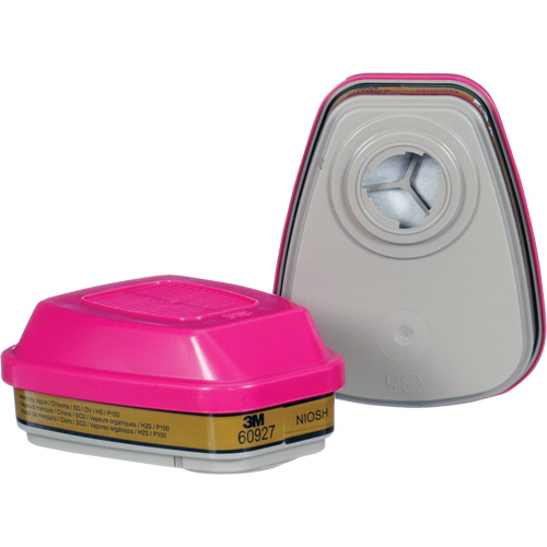 Cartouche, Combinaison cartouche et filtre contre les particules pour gaz/vapeurs, Gaz multiples/Vapeurs/P100 Superchem Industries