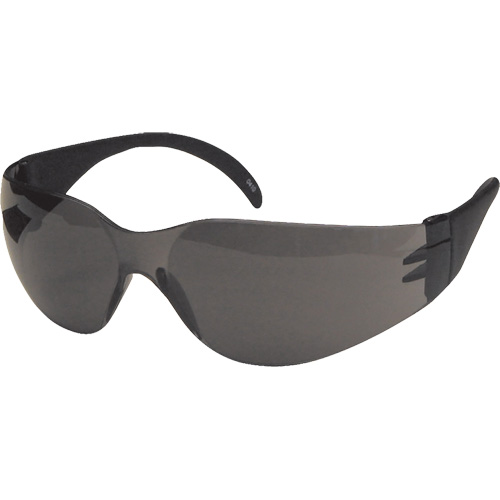 CeeTec Safety Glasses, Grey Lens, Anti-Scratch, Meets/Exceeds CSA Z94.3 Superchem Industries