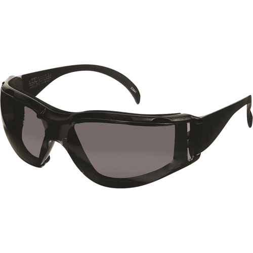 Lunettes de s&eacute;curit&eacute; CeeTec DX, Lentille Gris, Antibu&eacute;e/Anti-&eacute;gratignures, R&eacute;pond ou surpasse la norme CSA Z94.3 Superchem Industries