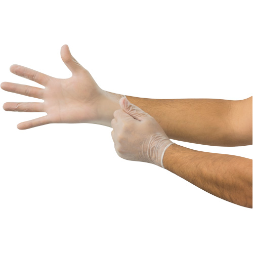 Gants jetables Derma Free MICROFLEX DF-850, 8,5/9/Grand, Vinyle, 3,1 mils/3,5 mils, Sans poudre, Transparent, Classe 2 Superchem Industries