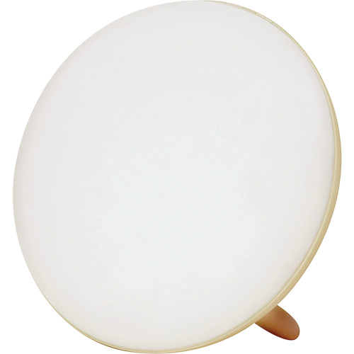 Lampe &agrave; luminoth&eacute;rapie pour le traitement de la d&eacute;pression saisonni&egrave;re Superchem Industries