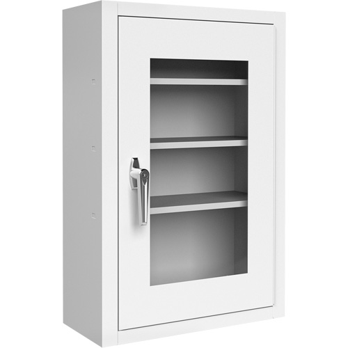 Lockable Medicine Cabinet with Plexiglas Door Superchem Industries
