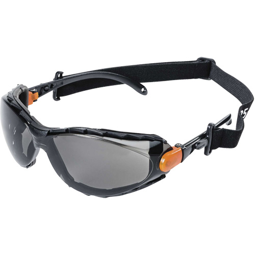 XPS502 Sealed Safety Glasses, Indoor/Outdoor Lens, Anti-Scratch Superchem Industries