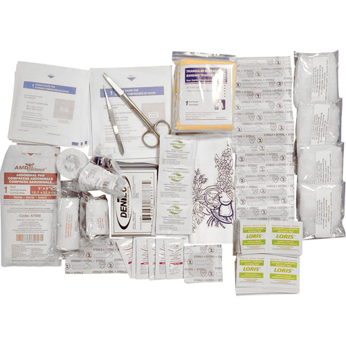Trousse de premiers soins de base et recharge Shield, R&eacute;pond &agrave; la norme CSA Z1220-17 type 2 environnements &agrave; faible risque, Petit (2-25 travailleurs) Superchem Industries