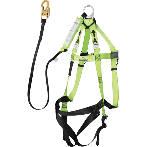 FBH-10000A5440-6 Harnais & longe classe A de 6' avec capacit&eacute; de 220 lb, Combinaison harnais/longe Superchem Industries