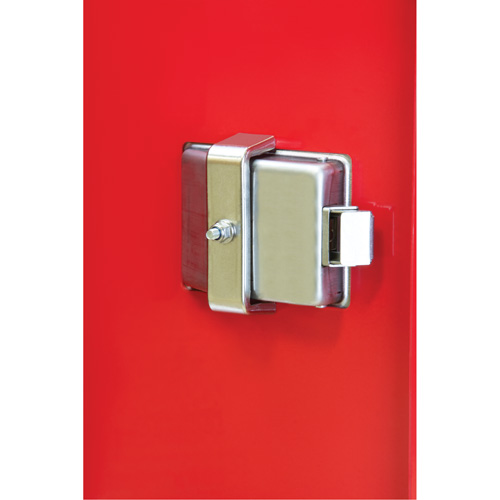 Armoires ext&eacute;rieures robustes pour extincteurs, 14" la x 28" h x 10" p Superchem Industries