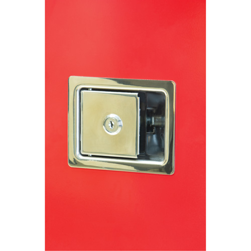 Armoires ext&eacute;rieures robustes pour extincteurs, 14" la x 28" h x 10" p Superchem Industries